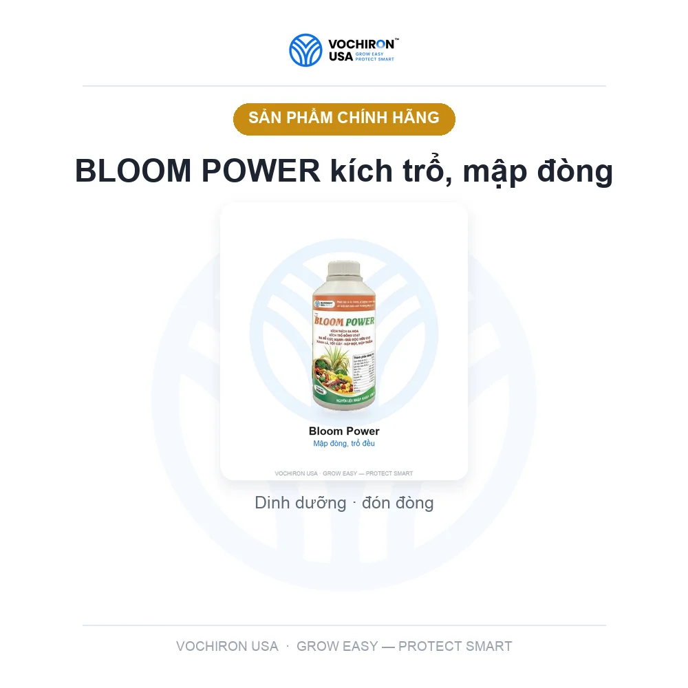 BLOOM POWER kích trổ, mập đòng — slide 1
