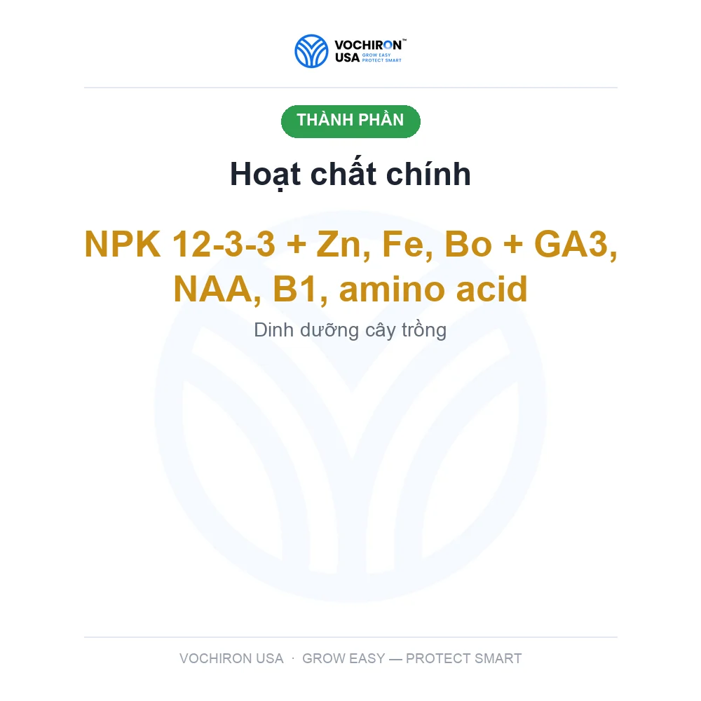 BLOOM POWER kích trổ, mập đòng — slide 4