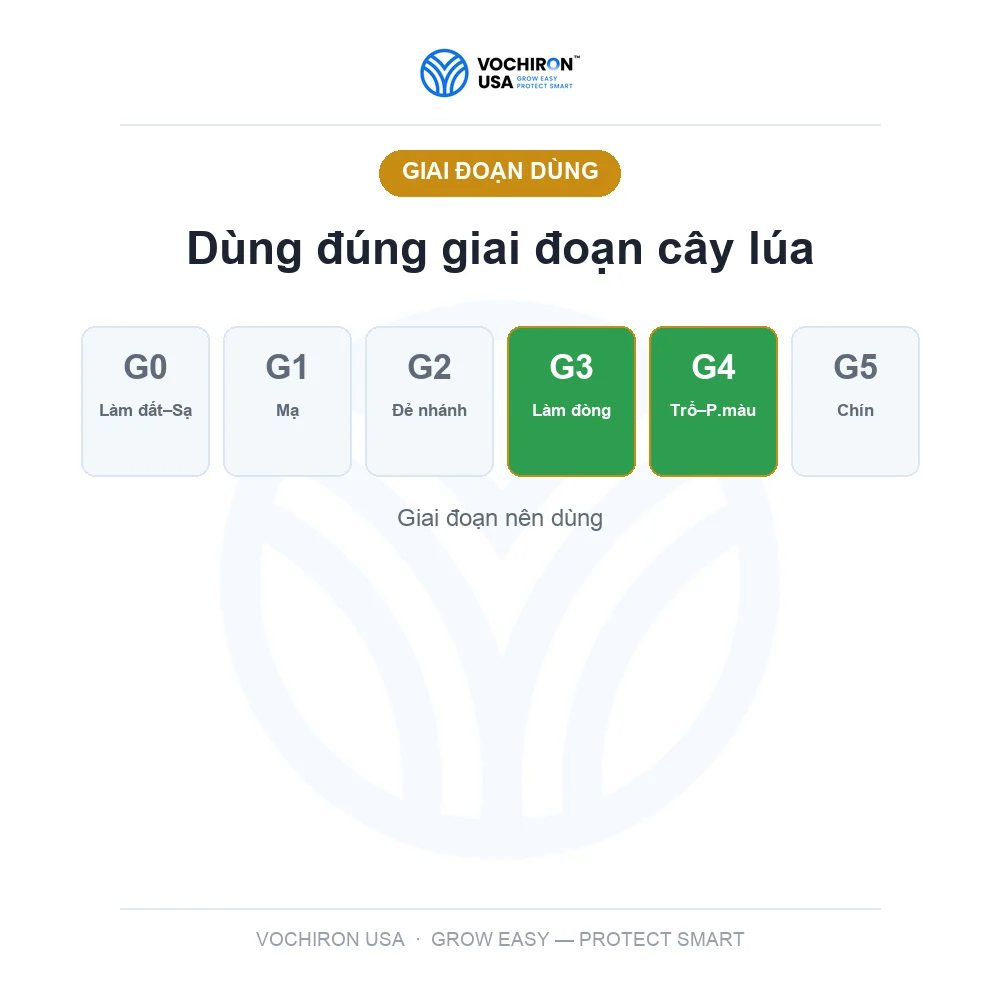 BLOOM POWER kích trổ, mập đòng — slide 6