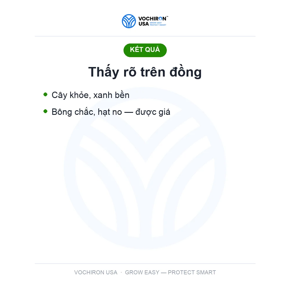 BLOOM POWER kích trổ, mập đòng — slide 7
