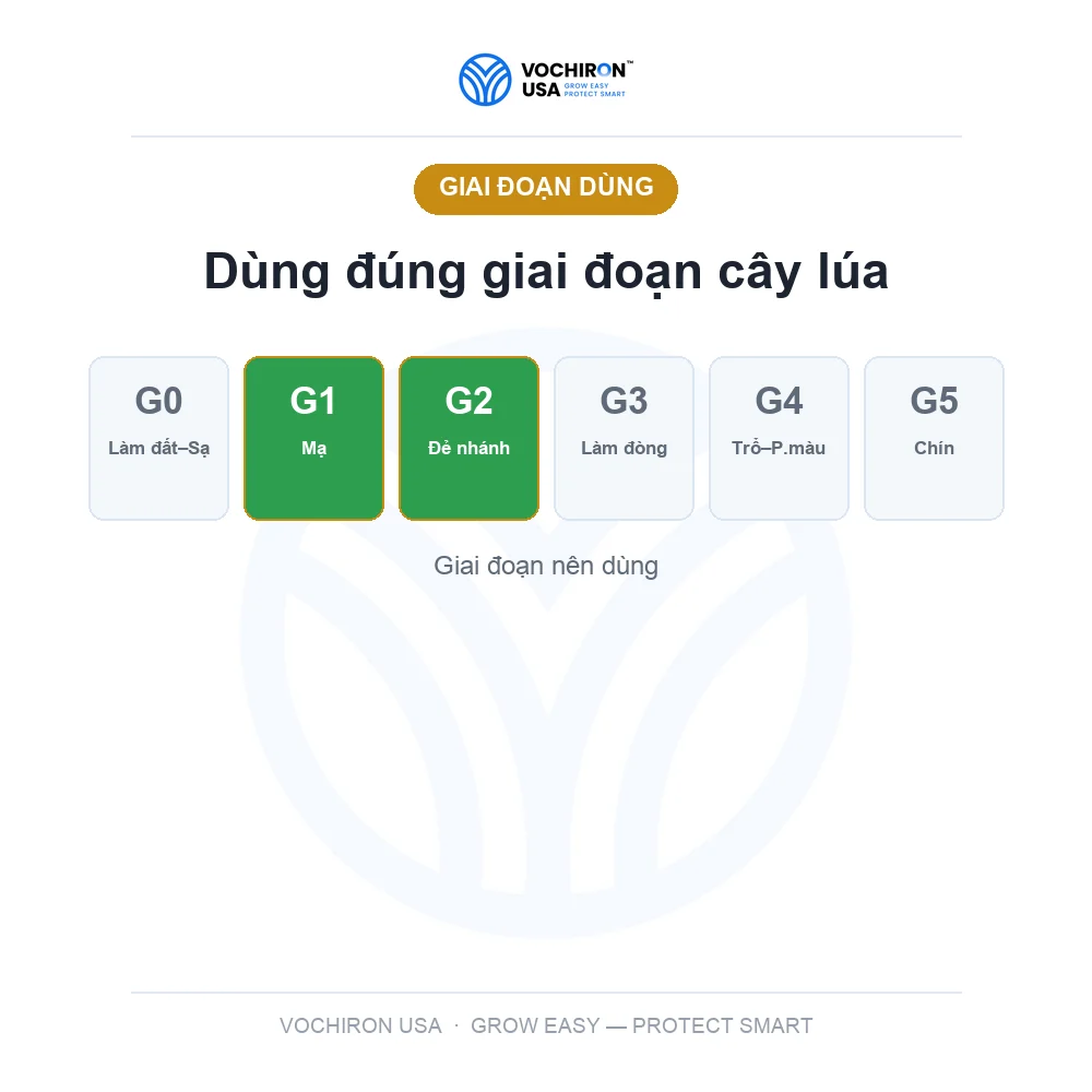 Comcat nước 500cc — slide 6