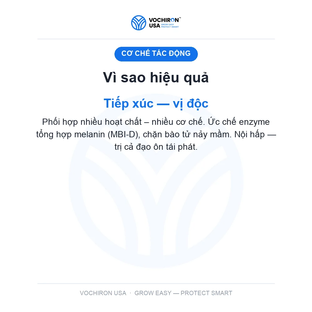 X3 vochiron Đạo ôn 3 hoạt chất feno tricy sulfua — slide 3