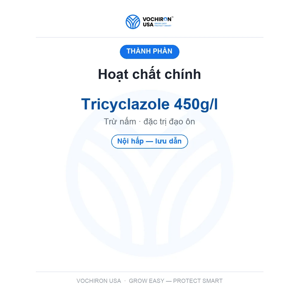 ĐẠO ÔN AN NÔNG NƯỚC — slide 4