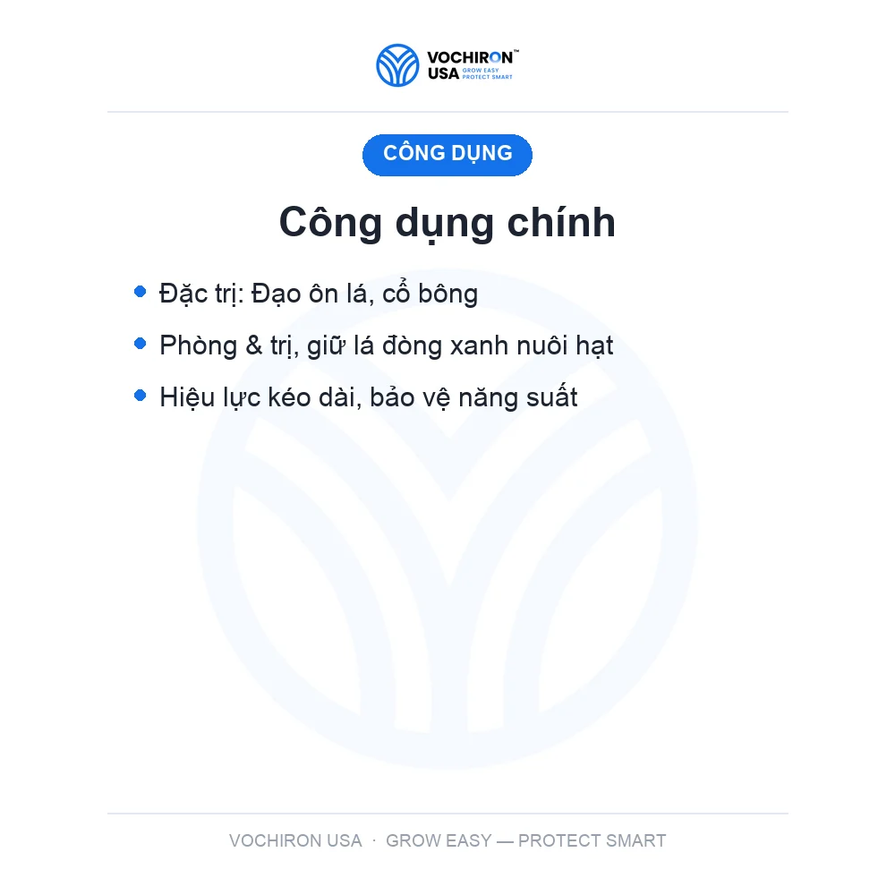 ĐẠO ÔN AN NÔNG NƯỚC — slide 5