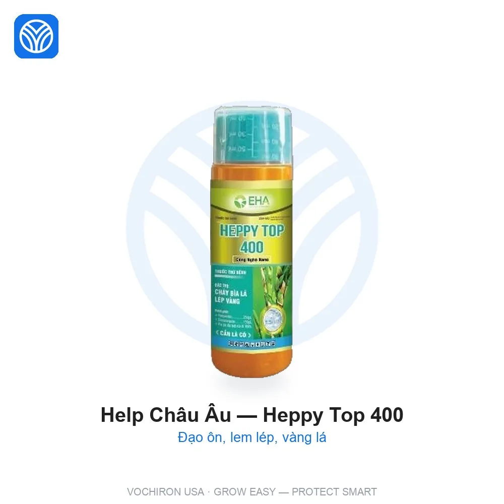 EHA Help Châu Âu Heppy top 400