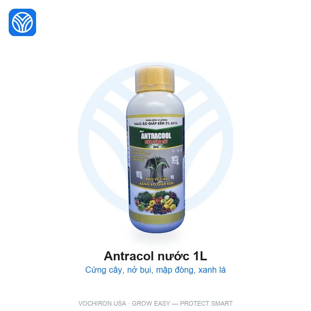 EHA Antracol nước 1 lít ( siêu cứng cây, xanh lá)