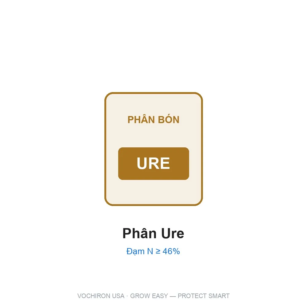 Phân Ure