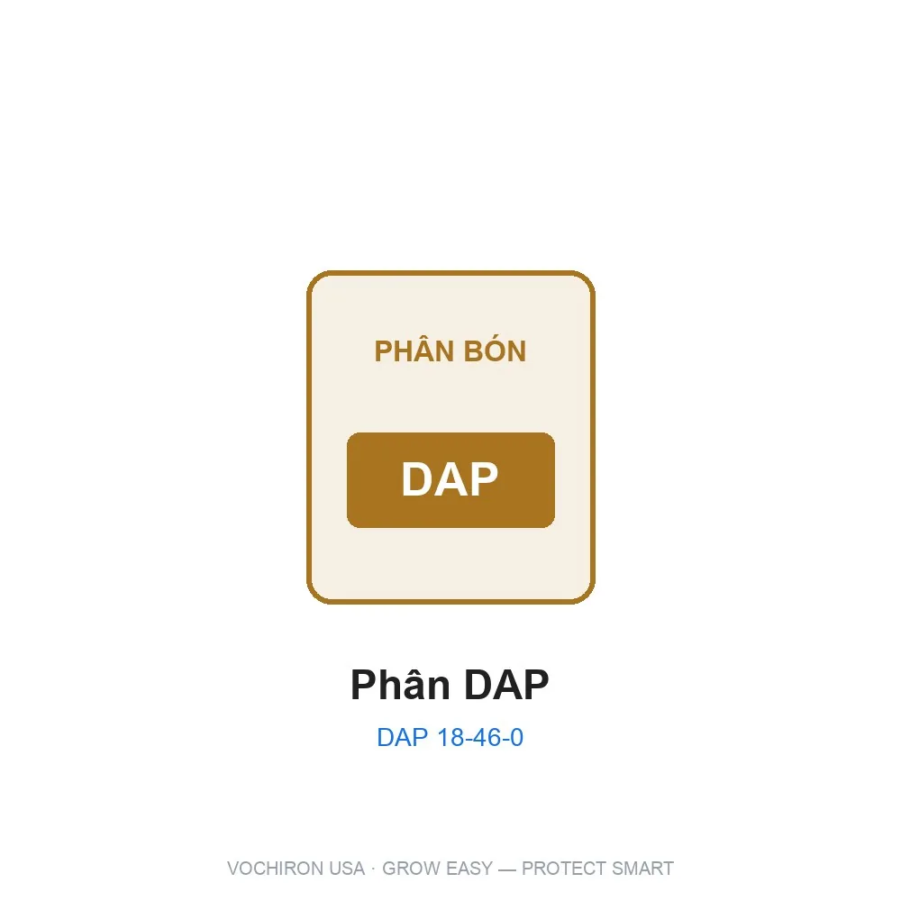 Phân DAP