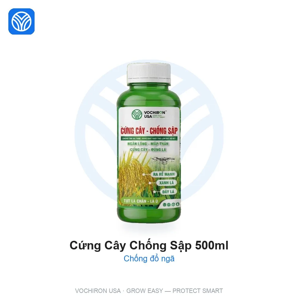 VCR CỨNG CÂY CHỐNG SẬP 500ml