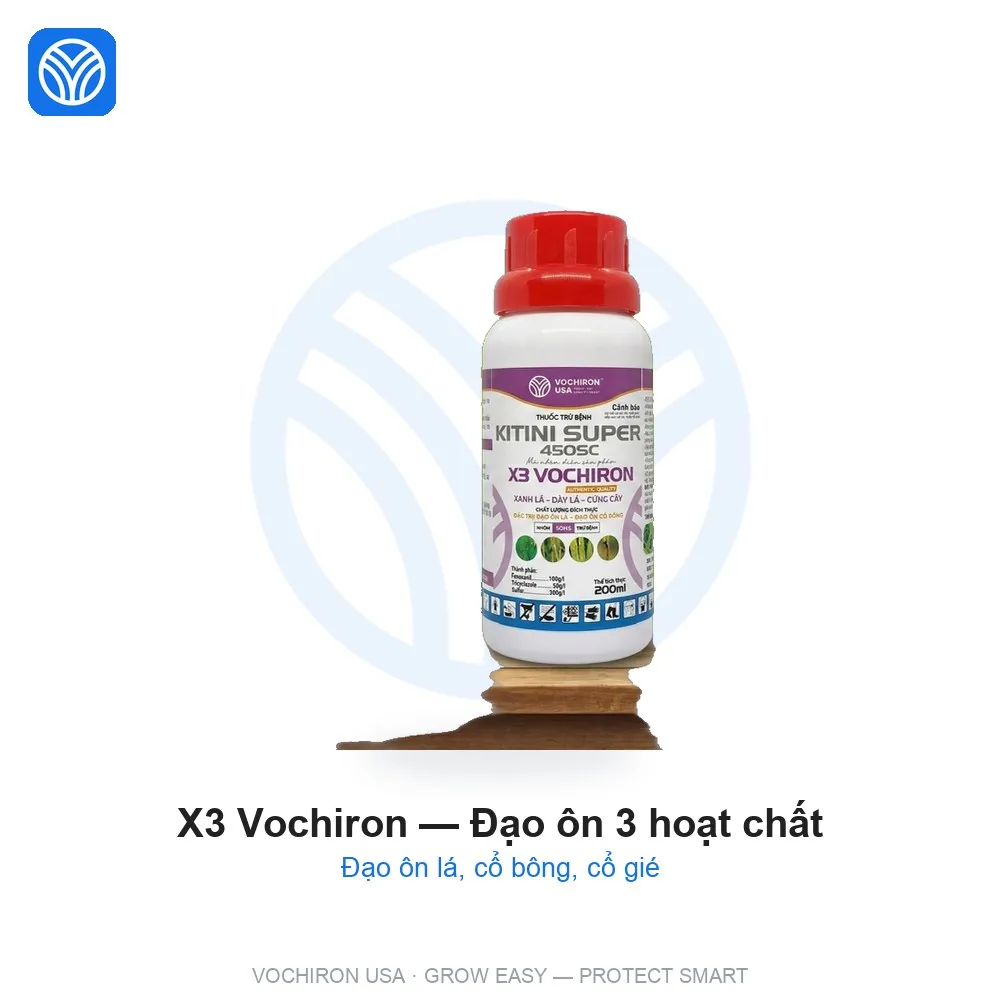 VCR USA- X3 vochiron - Đạo ôn 3 hoạt chất feno tricy sulfua