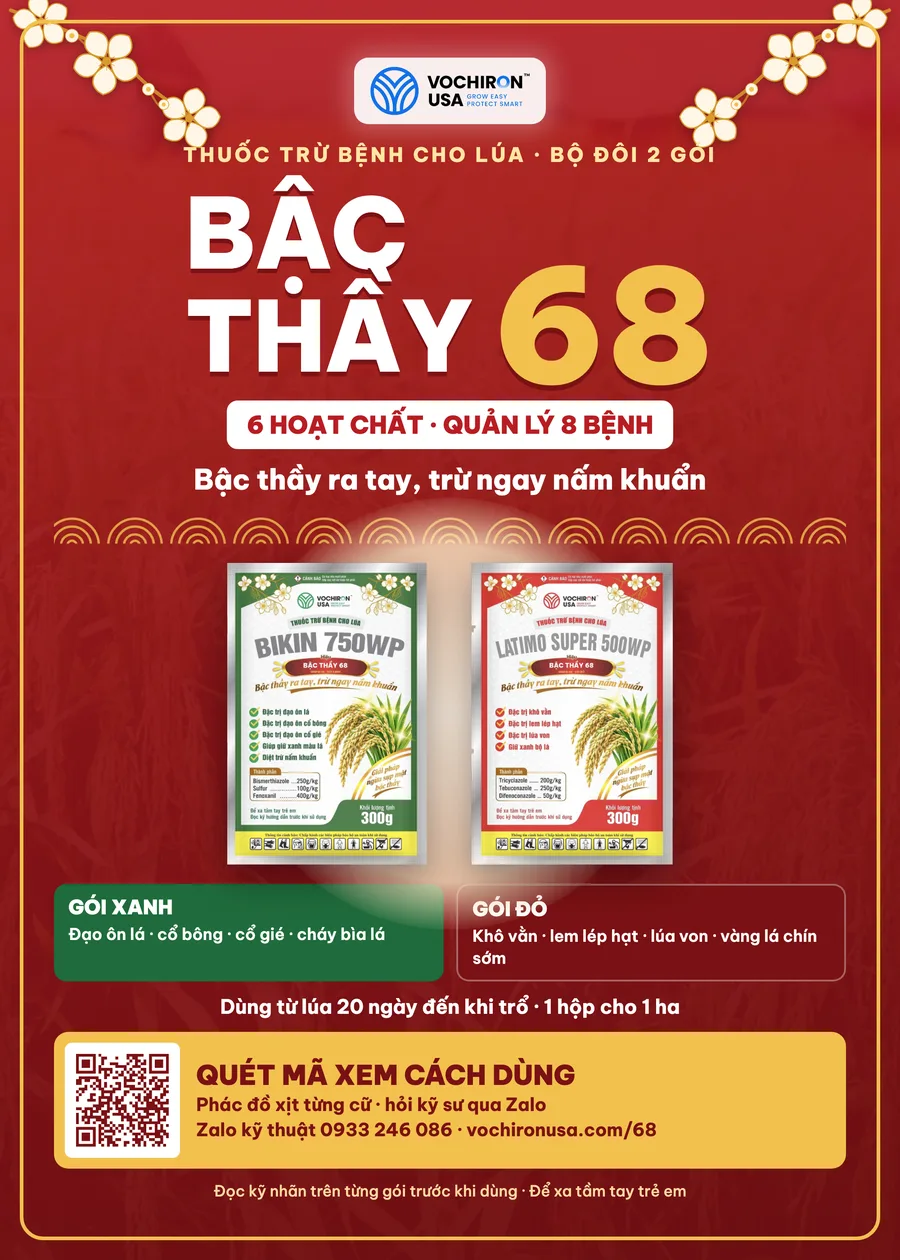 Hộp Bậc Thầy 68 – mặt tiếng Việt