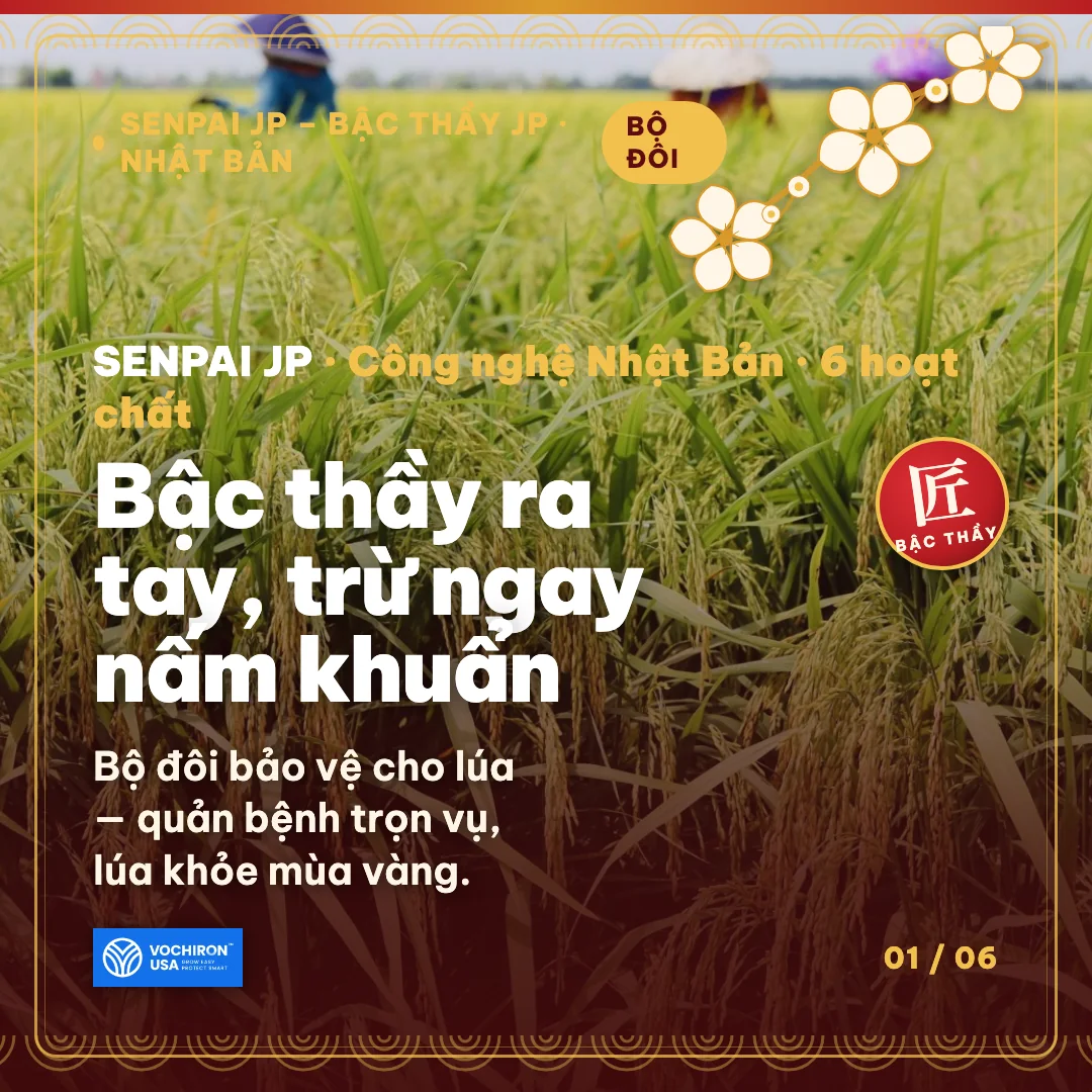 SENPAI JP – ra mắt