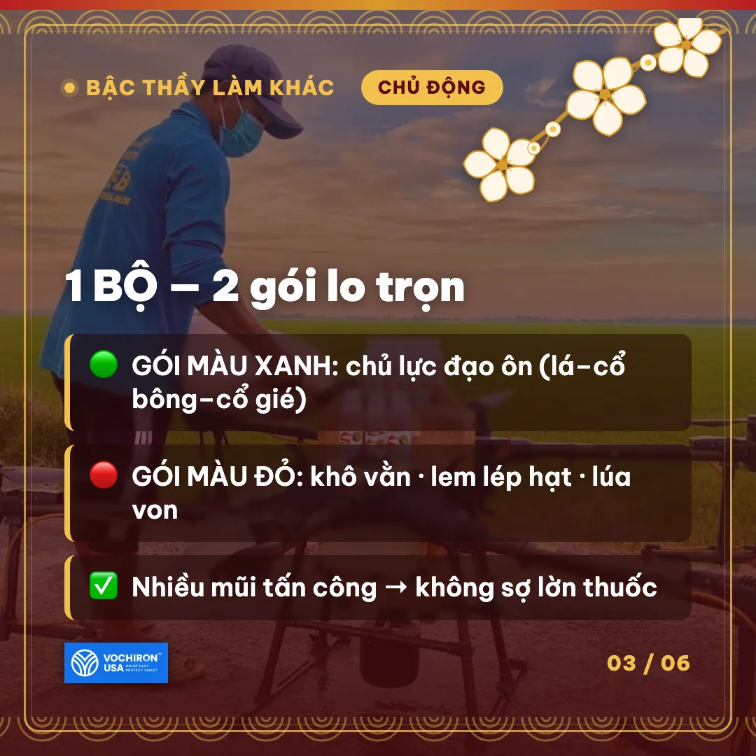 SENPAI JP – gói xanh