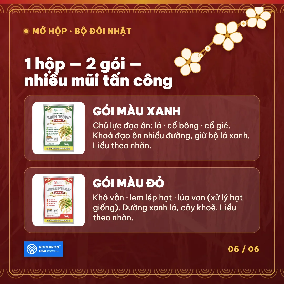 SENPAI JP – phác đồ 2 cữ trổ